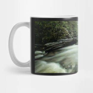 Knyvet Rush Mug